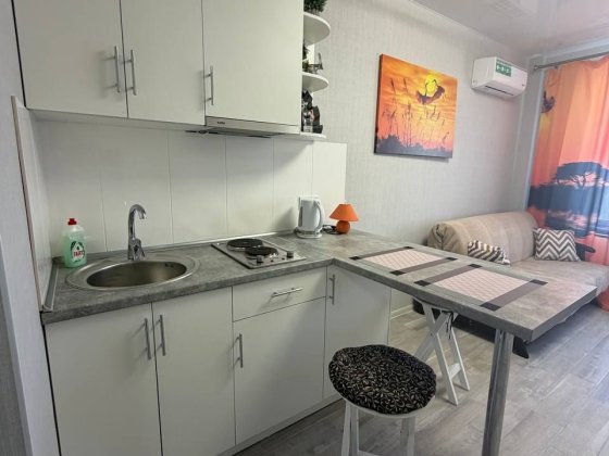 Можно на месяц! Сдам квартиру-студию. Ботанический сад. Научная. Клочковская, Ул. Авиахимическая 9.  Харьков