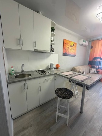 Можно на месяц! Сдам квартиру-студию. Ботанический сад. Научная. Клочковская, Ул. Авиахимическая 9.  - фото 1
