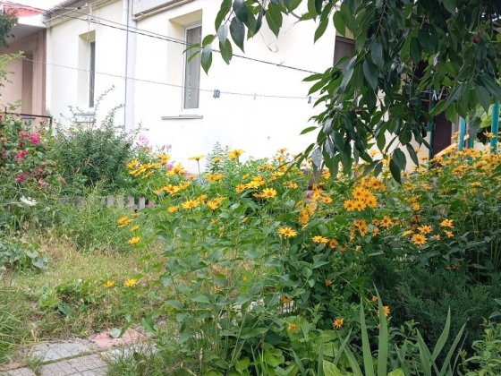 Терміново  продам 2. Кім.кв.в документах Квартира!. Можливий продаж по Державних програмах! Васильков
