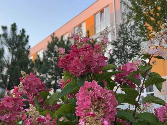 Продаж дворівневої квартири 42м2 в ЖК Sanville park Святопетрівське