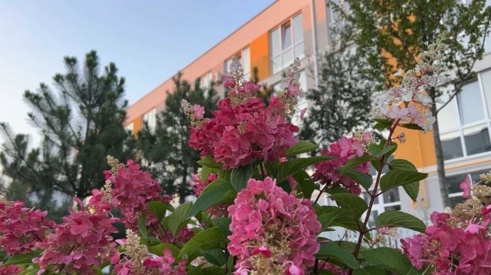 Продаж дворівневої квартири 42м2 в ЖК Sanville park - фото 1