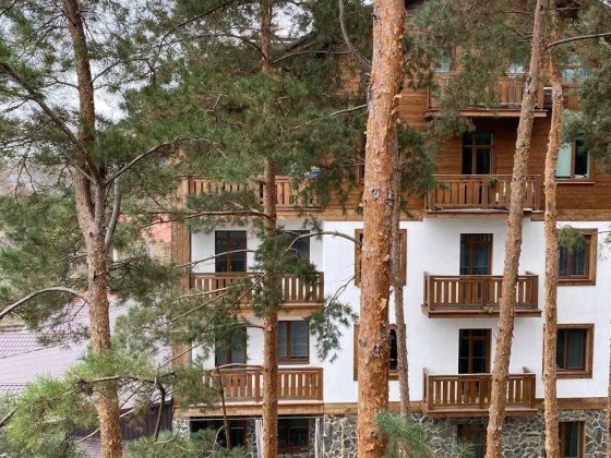 Продаж 1-к квартири 42.9 м² з АОГВ(індивідуальний газовий котел), с. Зазим'я, Київська обл. Зазимье