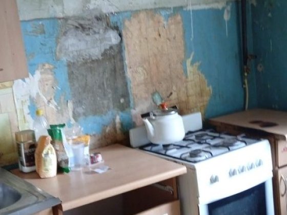 Продам квартиру  в центре Покотиловки Покотиловка