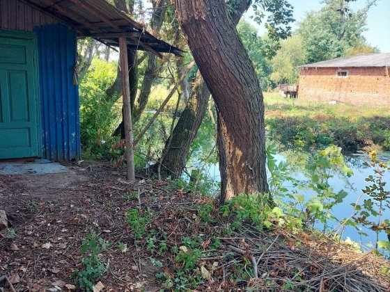 Продам квартиру в Вашківцях Вашківці