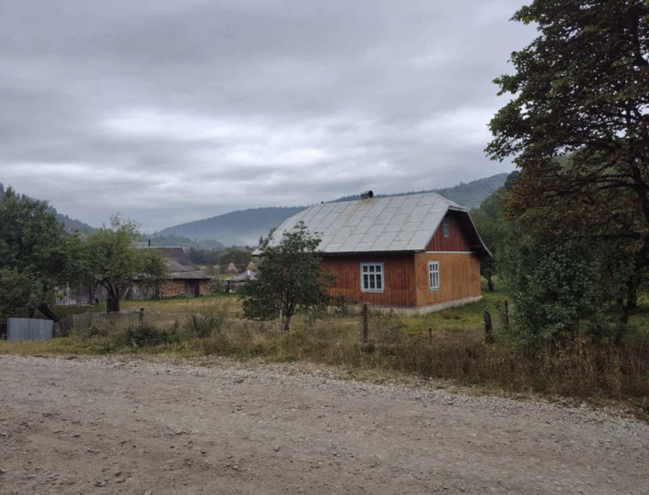 Будинок у селі Нова Борова - фото 1