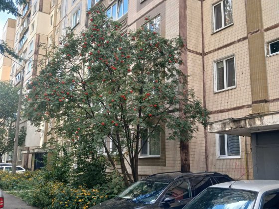 Продам 2-у квартиру в Броварах  вул. Чорних Запорожців 70 Бровари