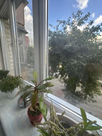 Продаж 2 х кімнатної квартири - фото 1