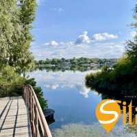 Будинок, маєток 36 соток з виходом на Дніпро, басейн, СТ Острів, Золоче Вишенки