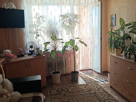 Київська,1 кімнатна квартира, ремонт Винница