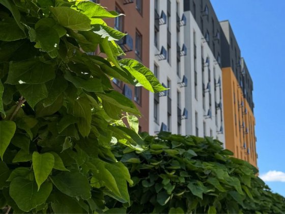 Картира ЖК Основа єОселя від забудовника є варіанти Запорожье