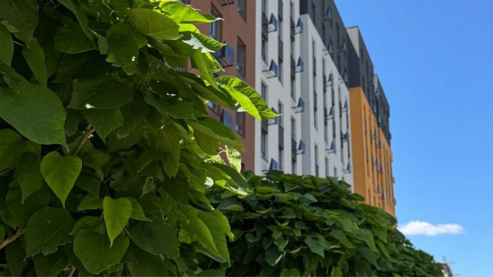 Картира ЖК Основа єОселя від забудовника є варіанти - фото 1