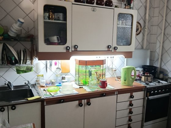 Продаю 3к/кв пр.Центральный ( Ценр.рынок),4/5,65/44/7 ,37000$ Николаев