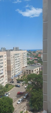 2 ком. квартира в жк Басма - фото 1