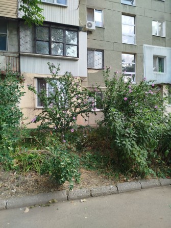 2 комнатная квартира Добровольского/ Махачкалинская - фото 1