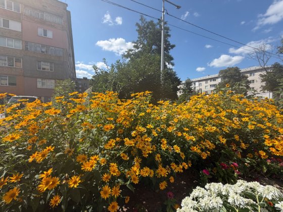 Продам квартиру з ремонтом Петропавлівська Борщагівка 42000 уо Петропавлівська Борщагівка