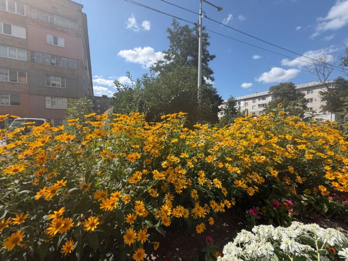 Продам квартиру з ремонтом Петропавлівська Борщагівка 42000 уо - фото 1