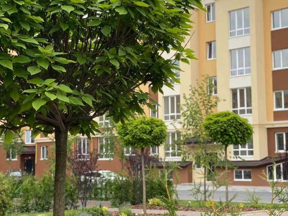 Маленька 1К квартира, скільки можливостей ЖК Львівський Затишок