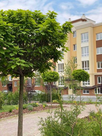 Маленька 1К квартира, скільки можливостей ЖК Львівський Затишок - фото 1