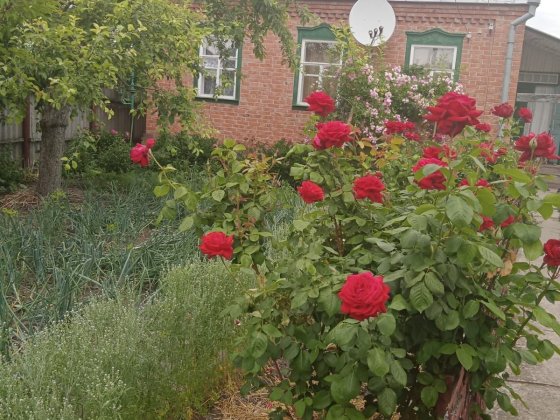 Продається житловий будинок загальною площею 68 м. кв Ахтырка