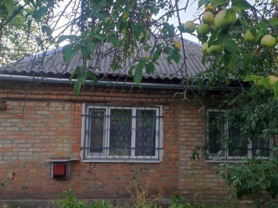 продам будинок з приватизованою земельною дділянкою Александрия