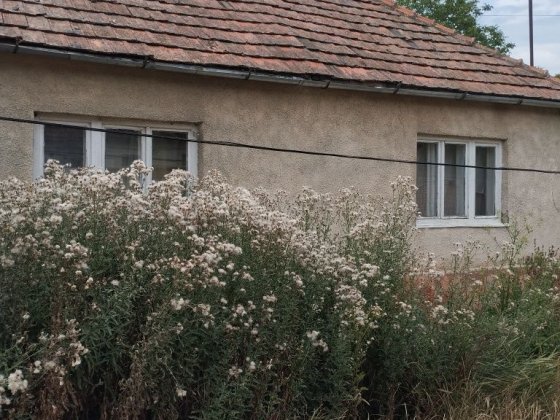 Продам дом Закарпатье Берегово Берегове