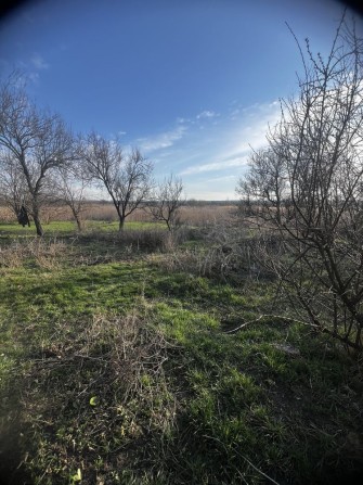 Земля під застройку або для посіву - фото 1