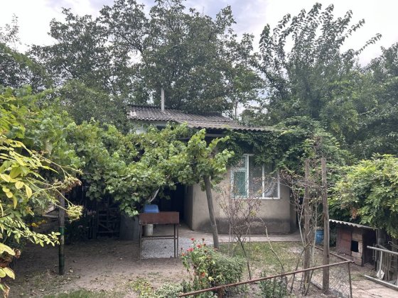 Дача поруч з лівим камʼянське Кам'янське