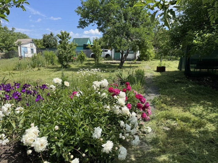Дача Камʼянське, БАМ, Соцмісто, Хімік 3 - фото 1