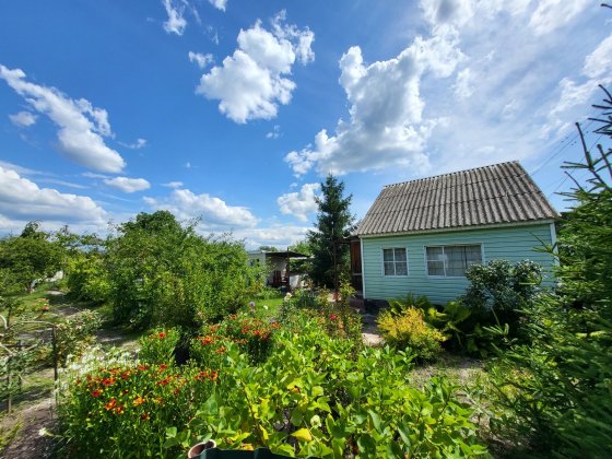 Дача Будівельник Сади Кременчуг Власівка