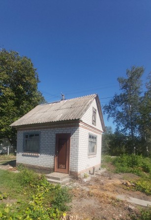 Дача Сады 3 Проминь - фото 1