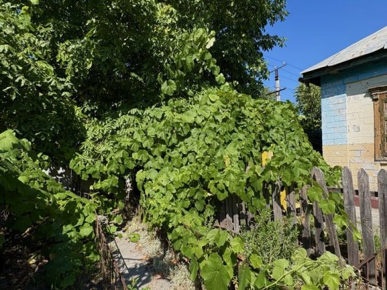 Продам будинок у смт. Власівка Власівка