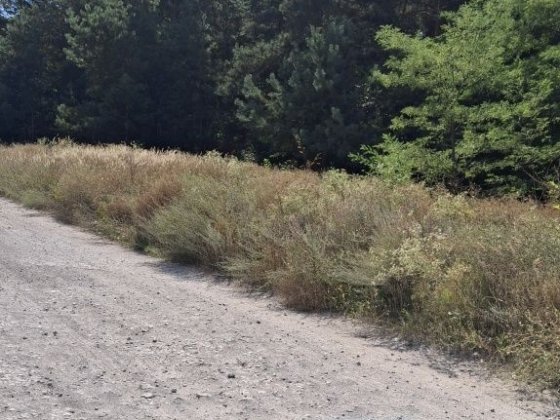 Продам дача  СТ Коксохімік 3 Кам'янське