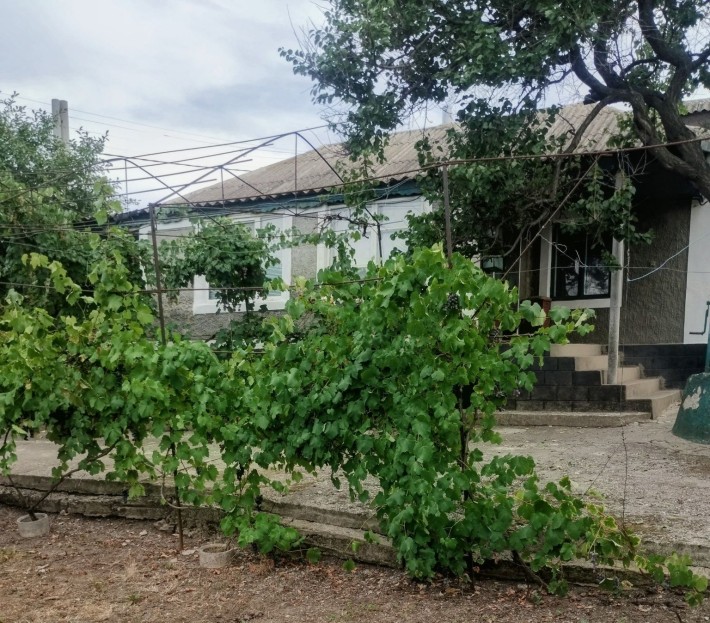 Продається будинок с.Прибужани - фото 1