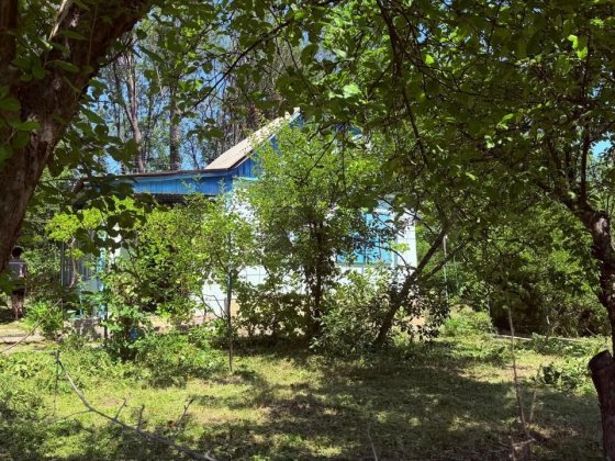 Продам дачу в пригороде Харькова. Посёлок Высокий. Високий