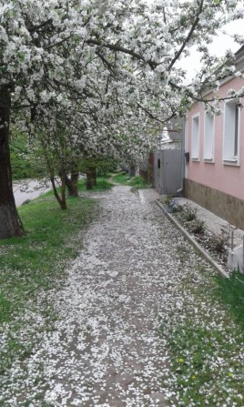 Продам затишний будинок зі свідим ремонтом - фото 1