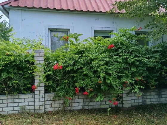 Домоволодіння з двома гаражами та господарськими приміщеннями Дергачи
