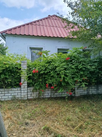 Домоволодіння з двома гаражами та господарськими приміщеннями - фото 1