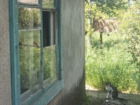 Измаил. Дача - 3500 у.е.,на Толстого. Измаил