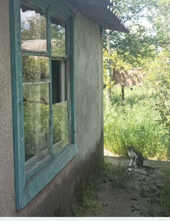 Измаил. Дача - 3500 у.е.,на Толстого. - фото 1