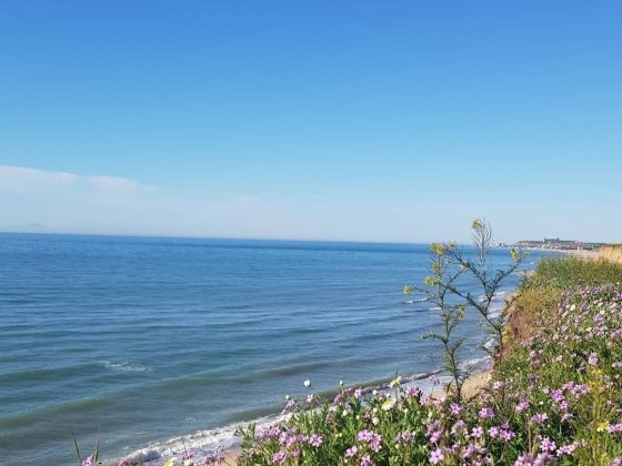 «Дом в Санжейке 15 мин от моря, 9 соток, коммуникации в доме Черноморск