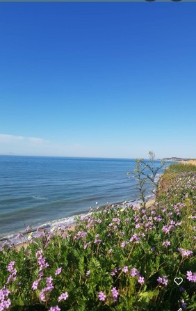 «Дом в Санжейке 15 мин от моря, 9 соток, коммуникации в доме - фото 1