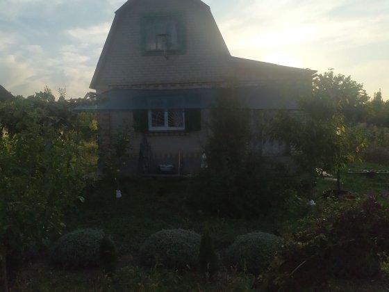 Цегляна дача з гарним виноградником. Козятин