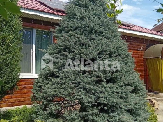 4-комнатный дом. Александровка (Овидиоп.) Черноморск