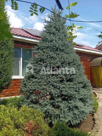 4-комнатный дом. Александровка (Овидиоп.) - фото 1