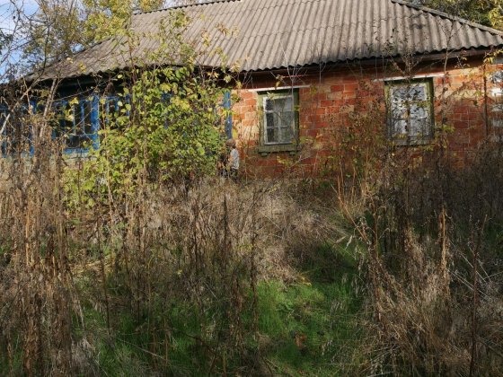Продам будинок  село Пилява Канів