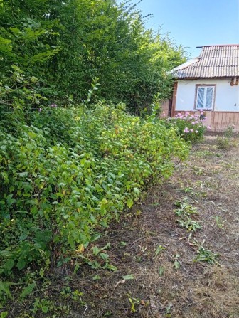 Продається  будинок - фото 1