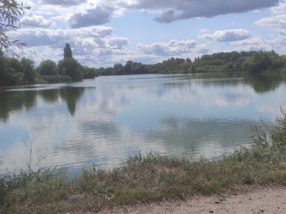 Продаєтьcя половина приватного будинку  Охтирський р-н  с. Вищевеселе Конотоп