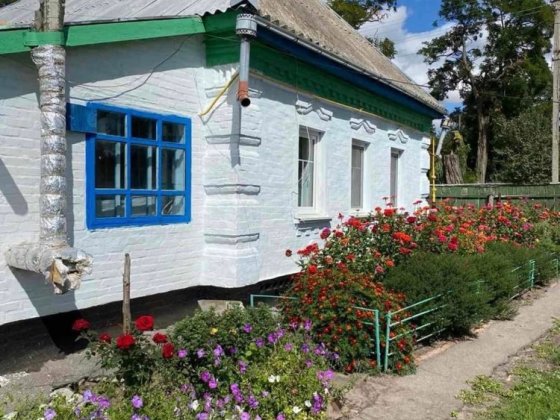 Продається будинок  с. Богодарівка Лубни