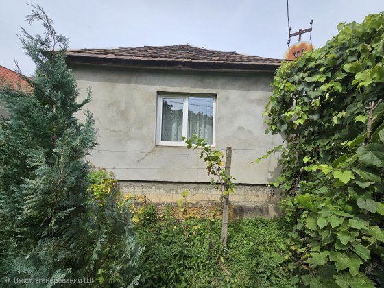 Окремий будинок 10хв від Мукачева Мукачеве