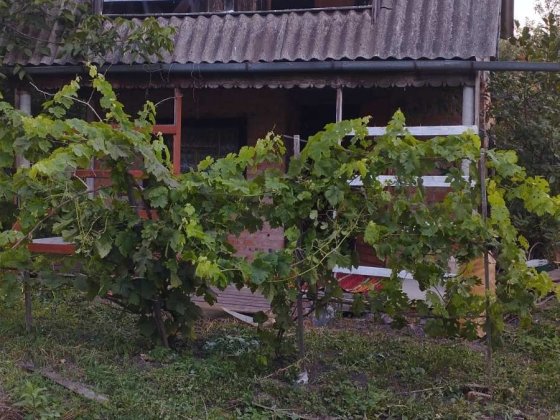 Продам улюблену дачу у Ніжині! Ніжин